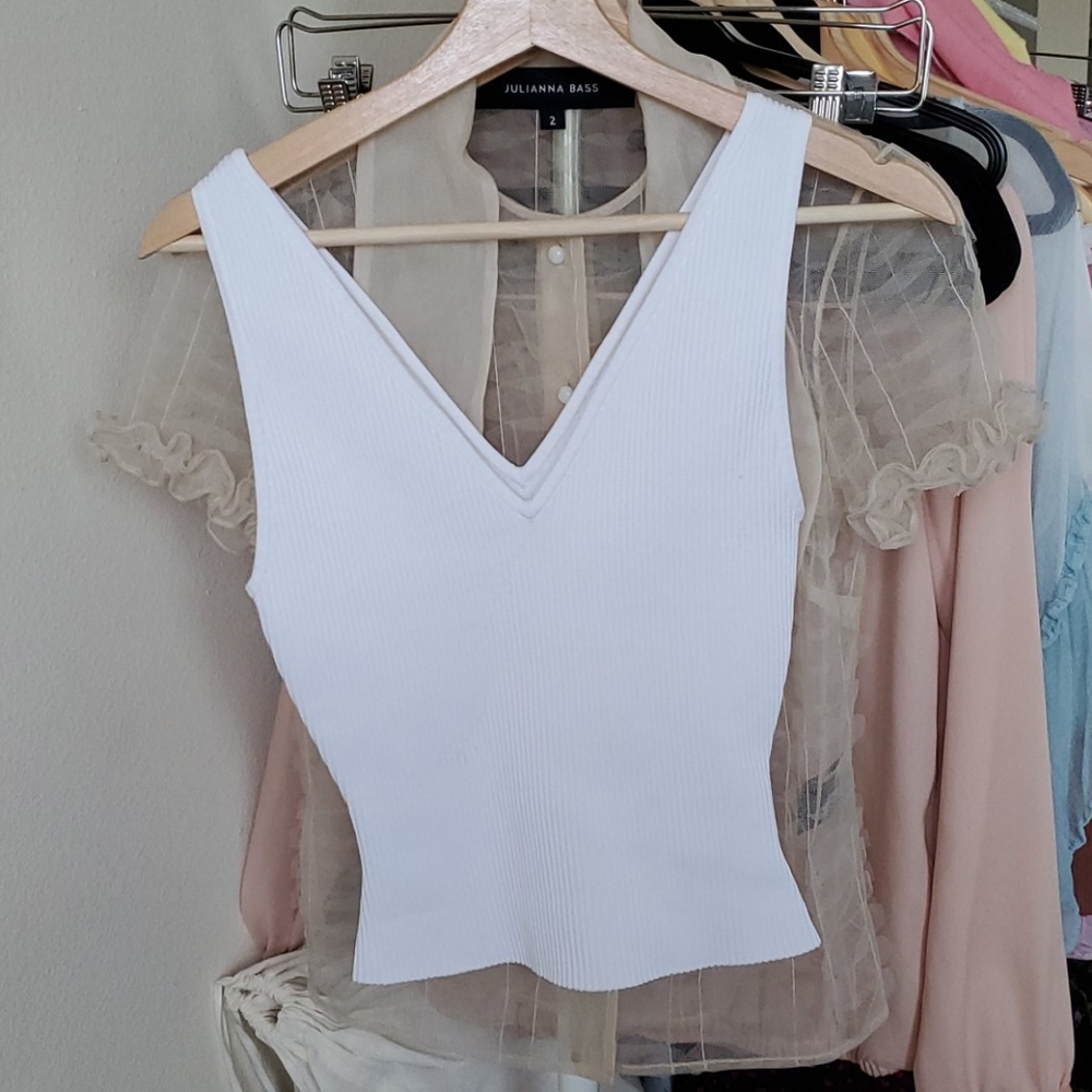 Aritzia Babaton still knit v neck